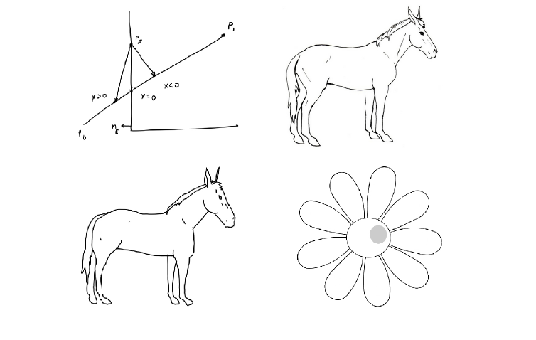 My drawing of a line graph, a horse, my drawing of the horse, an outline-only illustration of a flower