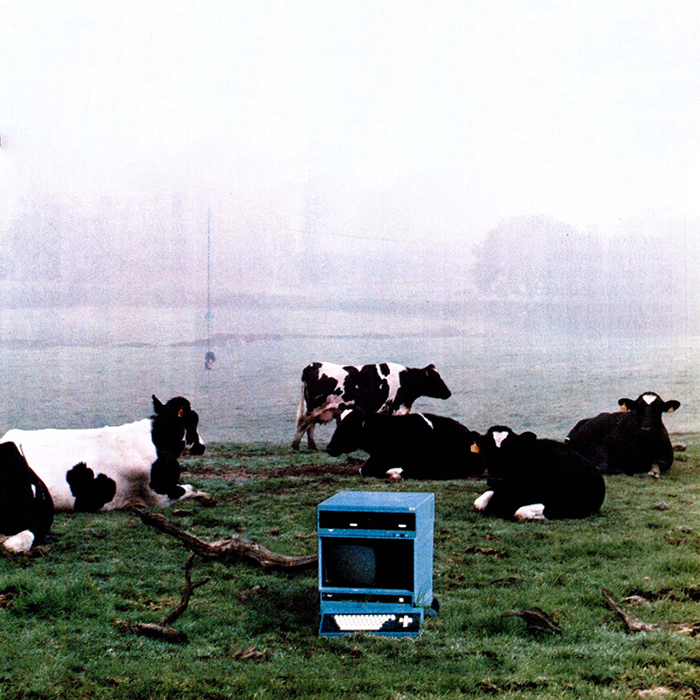 an old computer display in a field with cows